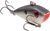 Bitsy Red Eyed Shad