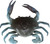 TPE 3D Crab
