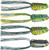 Compact Assorted Frog Kit