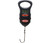 Berkley Digital Fish Scale - 50 lb