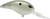 Duckett Fishing BD 12 Crankbait