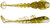 X Zone Lures Stealth Invader