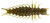 Great Lakes Finesse Juicy Hellgramite