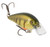 Strike King KVD Elite 2.5 Squarebill Crankbait