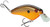 Strike King Hardliner 57 Squarebill Crankbait