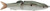 Duckett Fishing BD Glider