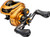 Lew's Custom Pro Series Gen 3 Casting Reel