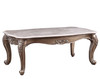 ACME Jayceon Coffee Table, Marble & Champagne 84865