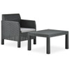 vidaXL 2 Piece Patio Lounge Set with Cushion PP Rattan Anthracite