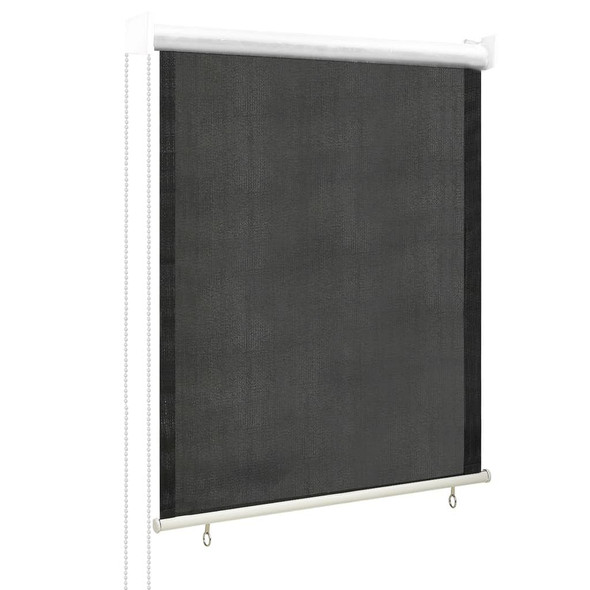 vidaXL Outdoor Roller Blind 23.6"x55.1" Anthracite