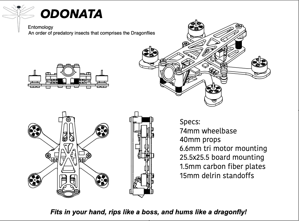 odonata.png