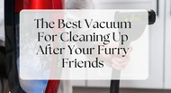 Quantum Blog The Best Vacuum For Cleaning Up After Your Furry Friends