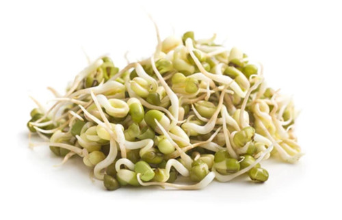 Organic Mung Bean Sprouting Seeds (4 ounces)