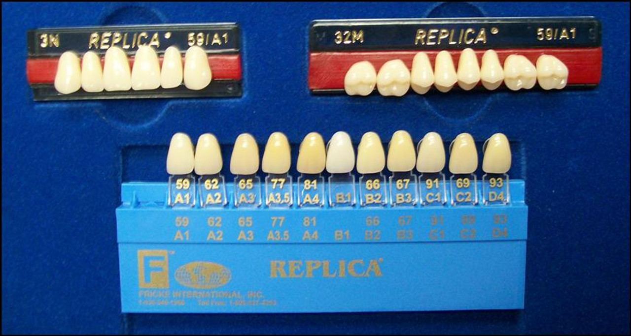 Ipn Teeth Mould Chart