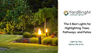 The 5 Best Lights for Highlighting Trees, Pathways, and Patios 