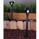 Solar Path Light with Motion Detector, Cool White