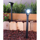 Solar Path Light with Motion Detector, Cool White