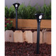 Solar Path Light with Motion Detector, Warm White