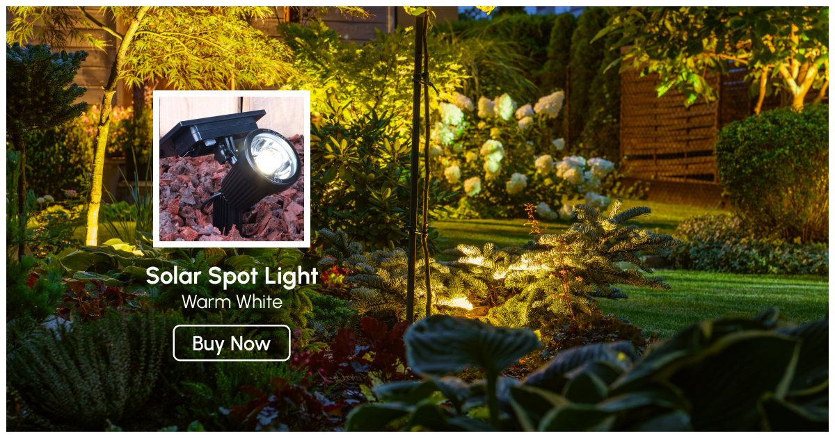 Solar Spotlight Examples Shine a Spotlight: Choosing the Best Exterior Solar Spot Lights ...