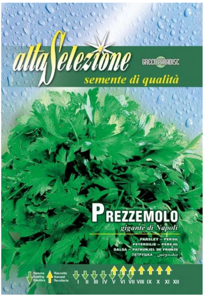 Semințe pătrunjel de frunze - Gigante Di Napoli, Alta Selezione