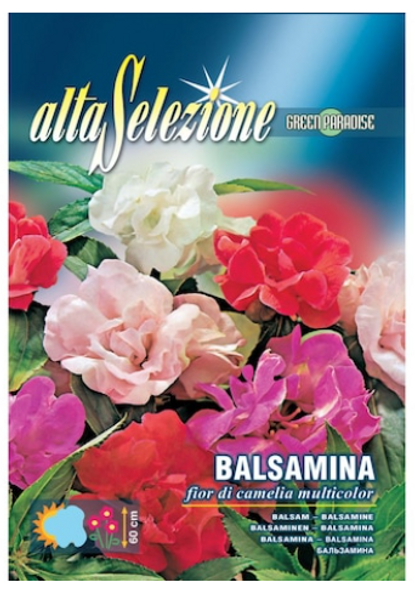 Semințe balsamina - floare de camelie, multicolor, Alta Selezione