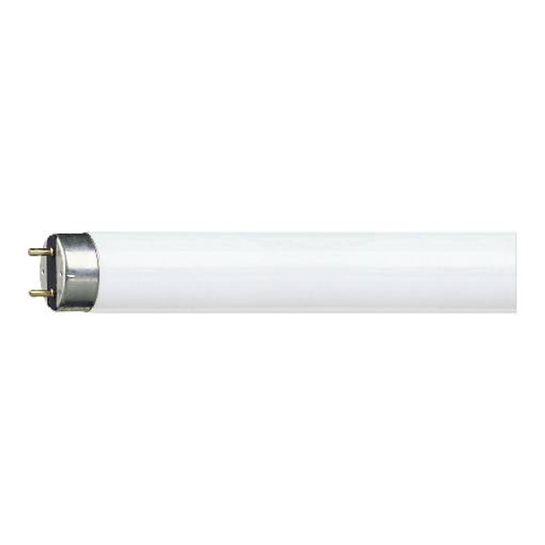 Tub neon, fluorescent, 36W, Alb