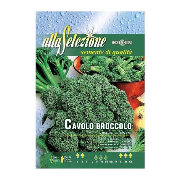 Semințe broccoli Ramoso Calabrese, plic 5 grame