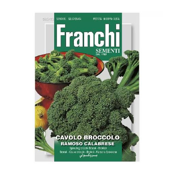 Semințe Broccoli Ramoso Calabrese, plic 7 grame