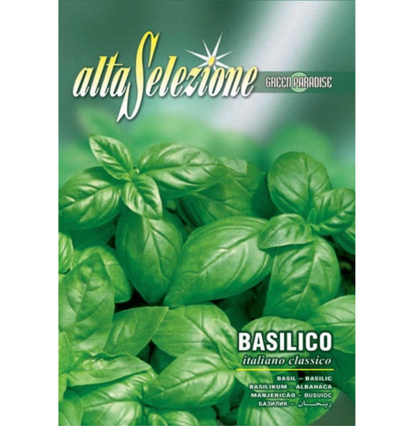 Semințe busuioc Italiano Classico, Alta Selezione
