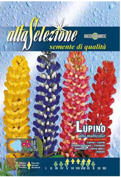 Semințe lupin înalt - multicolor, Alta Selezione