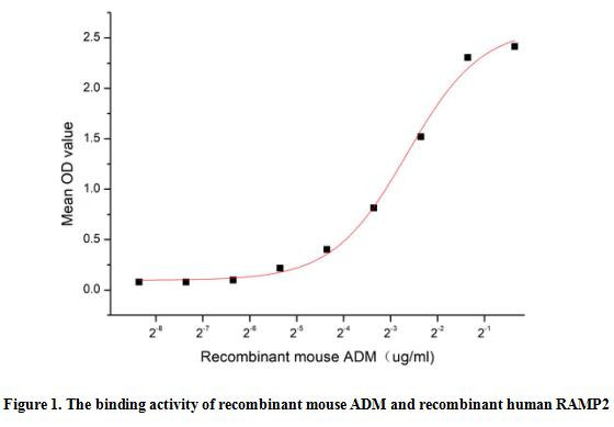 Mouse Adrenomedullin, Active Protein, Cat#RPU60217 - Biomatik