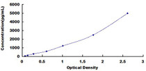 Typical Standard Curve for ADAM10 ELISA (Sandwich)
