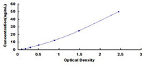 Typical Standard Curve for ACTN4 ELISA (Sandwich)