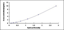 Typical Standard Curve for CAMK2a ELISA (Sandwich)