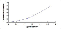 Typical Standard Curve for CAMK2a ELISA (Sandwich)