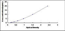 Typical Standard Curve for CASP7 ELISA (Sandwich)