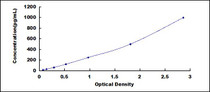 Typical Standard Curve for FGF10 ELISA (Sandwich)