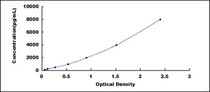 Typical Standard Curve for MET ELISA (Sandwich)