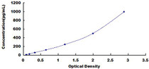 Typical Standard Curve for IL10 ELISA (Sandwich)