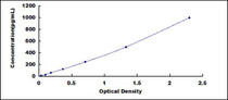 Typical Standard Curve for KLK13 ELISA (Sandwich)