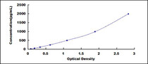 Typical Standard Curve for KISS1 ELISA (Sandwich)