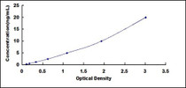 Typical Standard Curve for MMP1 ELISA (Sandwich)