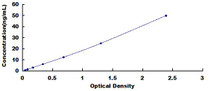 Typical Standard Curve for MMP11 ELISA (Sandwich)