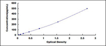 Typical Standard Curve for Ntn4 ELISA (Sandwich)