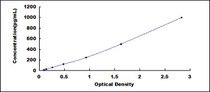 Typical Standard Curve for NT4 ELISA (Sandwich)