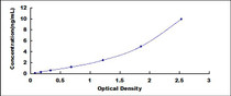 Typical Standard Curve for RORg ELISA (Sandwich)
