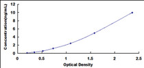 Typical Standard Curve for SEPT6 ELISA (Sandwich)