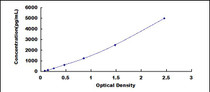 Typical Standard Curve for SIGLEC10 ELISA (Sandwich)