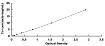 Typical Standard Curve for SIRT6 ELISA (Sandwich)