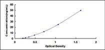Typical Standard Curve for SGLT2 ELISA (Sandwich)